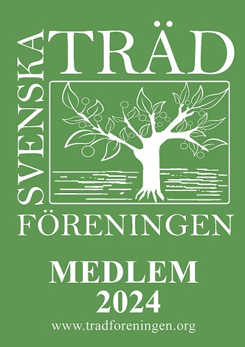 Medlem i Svenska trädföreningen